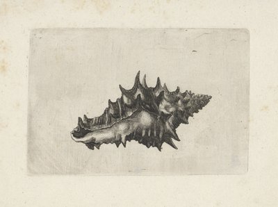  द्वारा Wenceslaus Hollar