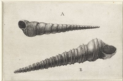  द्वारा Wenceslaus Hollar