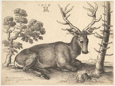 हरिण झूठ बोल रहा है, 1649। द्वारा Wenceslaus Hollar
