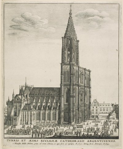 स्ट्रासबर्ग कैथेड्रल द्वारा Wenceslaus Hollar