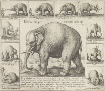  द्वारा Wenceslaus Hollar