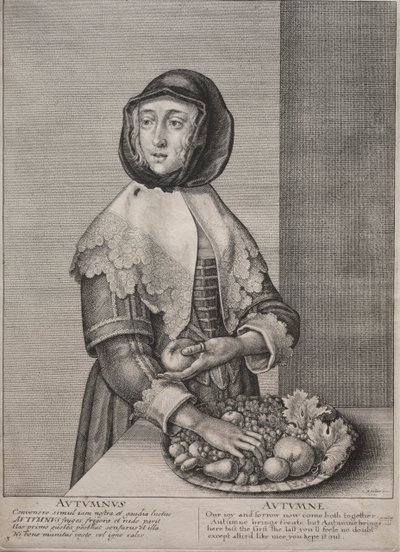 चार ऋतुएँ: शरद ऋतु द्वारा Wenceslaus Hollar