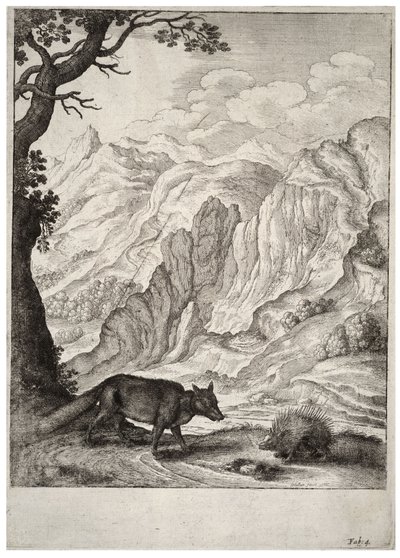 लोमड़ी और साही। राज्य 2 द्वारा Wenceslaus Hollar