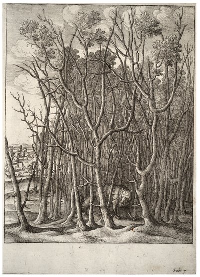 लोमड़ी और कांटेदार झाड़ी। राज्य 2 द्वारा Wenceslaus Hollar