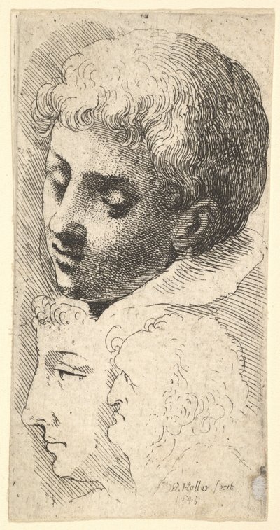 तीन सिर, 1645। द्वारा Wenceslaus Hollar