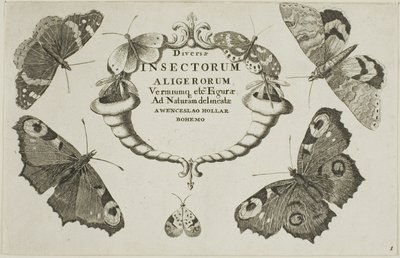  द्वारा Wenceslaus Hollar