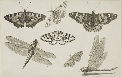  द्वारा Wenceslaus Hollar