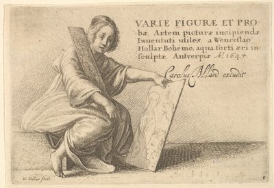 विभिन्न आकार और 1645 के आश्वासन। द्वारा Wenceslaus Hollar