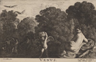 शुक्र। द्वारा Wenceslaus Hollar