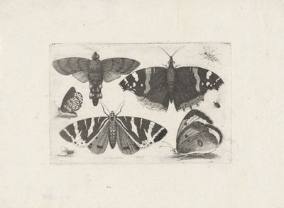  द्वारा Wenceslaus Hollar