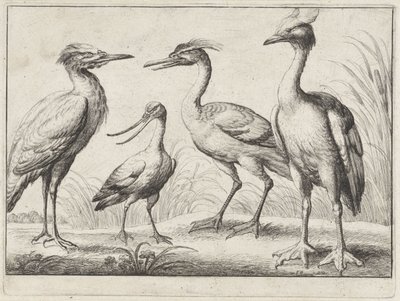  द्वारा Wenceslaus Hollar