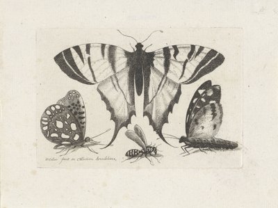  द्वारा Wenceslaus Hollar