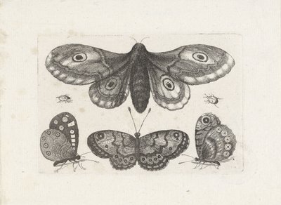  द्वारा Wenceslaus Hollar