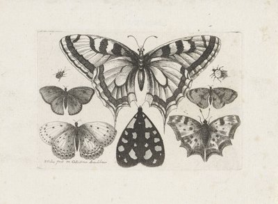  द्वारा Wenceslaus Hollar