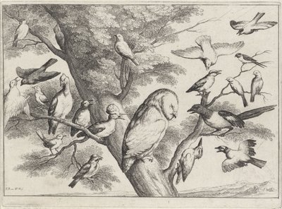  द्वारा Wenceslaus Hollar