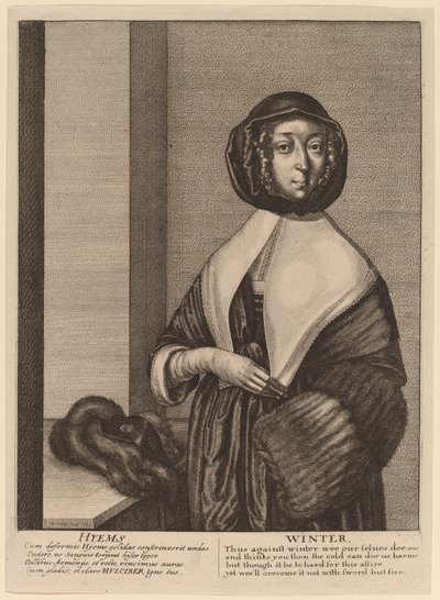 सर्दी द्वारा Wenceslaus Hollar