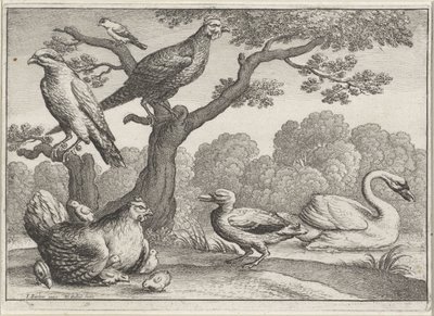  द्वारा Wenceslaus Hollar