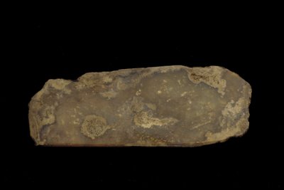 एक औपचारिक हथियार की खुशबू (जेड (नेफ्राइट)) द्वारा Western Zhou Dynasty Chinese School