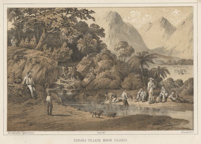 विलेज विलेज बोनिन आइलैंड्स, 1855 द्वारा विल्हेम जोसेफ हेन