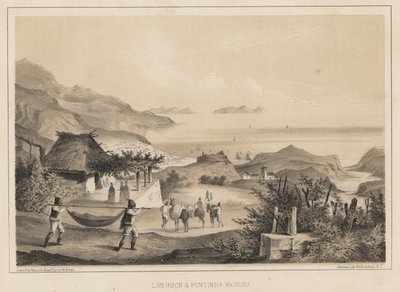 लू रॉक रॉक पोंटिन्हा मदीरा, 1855 द्वारा विल्हेम जोसेफ हेन