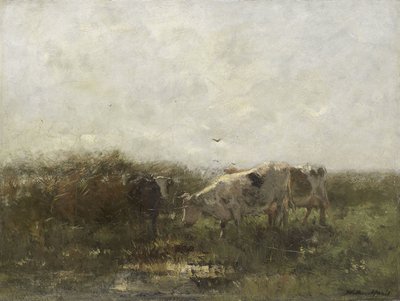 गायों द्वारा Willem Maris
