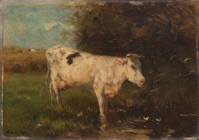सफेद गाय द्वारा Willem Maris