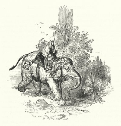 हाथी पर अब्द-अल-कुद्दूस (उत्कीर्णन) द्वारा विलियम (बाद) हार्वे