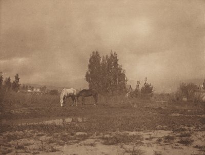 पासाडेना लैंडस्केप, 1899। द्वारा विलियम बी पोस्ट