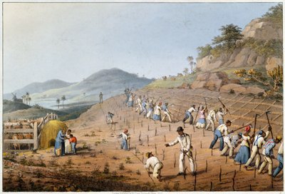  द्वारा विलियम क्लार्क