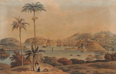 1819 में लेफ्टिनेंट कर्नल विल्सन द्वारा खाड़ी से लिया गया ग्रेनाडा द्वीप में सेंट जॉर्ज और रिचमंड हाइट्स के शहर का दृश्य द्वारा विलियम डेनियल