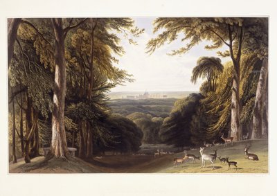 डियर पार्क से विंडसर कैसल, c.1827-1829 द्वारा विलियम डेनियल