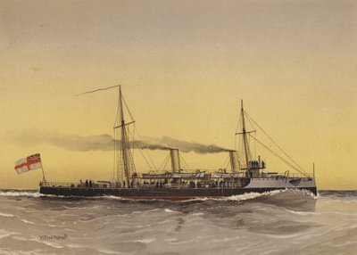 एचएमएस स्पीडवेल, टारपीडो गनबोट द्वारा William Frederick Mitchell