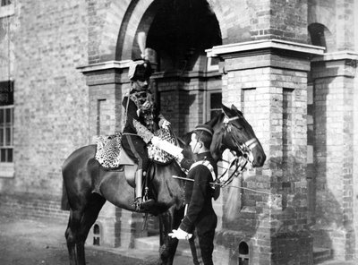 तृतीय हसर्स के अधिकारी, c.1890s द्वारा विलियम ग्रेगरी