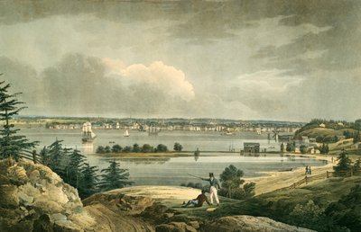 ब्रुकलिन, पब के पास हाइट्स से न्यूयॉर्क। 1828 (हाथ के रंग का उत्कीर्णन) द्वारा दीवार के बाद विलियम गाइ