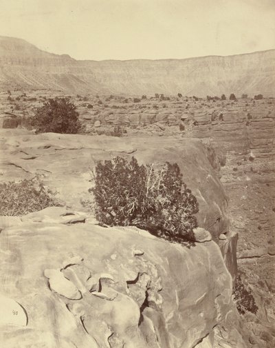  द्वारा विलियम एच। बेल