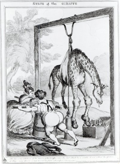 जिराफ का राज्य, 1829 द्वारा विलियम हीथ