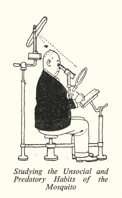 मच्छरों की असामाजिक और शिकारी आदतों का अध्ययन (लिथो) द्वारा विलियम हीथ रॉबिन्सन