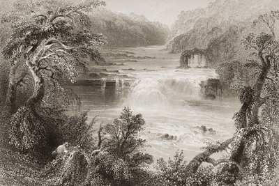 जॉर्ज पुण्य, 1860 के दशक के लिक्सलिप, काउंटी किल्डारे के सामन लीप, &39;दृश्य और प्राचीन वस्तुएँ आयरलैंड से&39; द्वारा विलियम हेनरी बार्टलेट