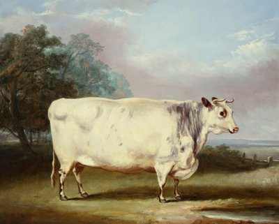 एक पुरस्कार गाय, 1838 द्वारा William Henry Davis