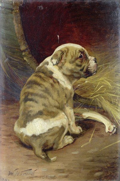 डॉग ए बोन ए, 1888 (बोर्ड) दें द्वारा William Henry Hamilton Trood