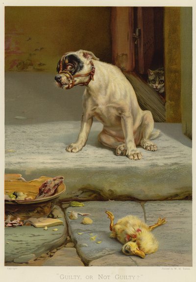 दोषी, या दोषी नहीं (क्रोमोलिथो) द्वारा William Henry Hamilton Trood