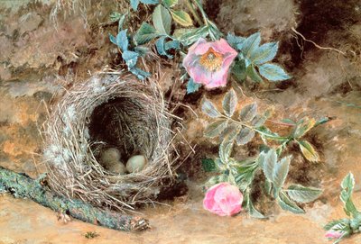 जंगली गुलाब और पक्षियों के घोंसले द्वारा William Henry Hunt