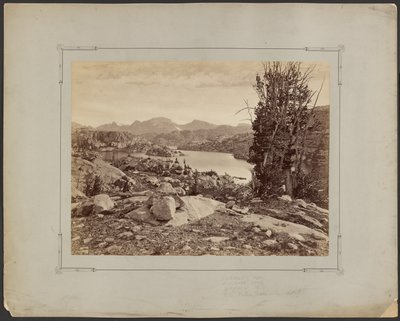  द्वारा William Henry Jackson
