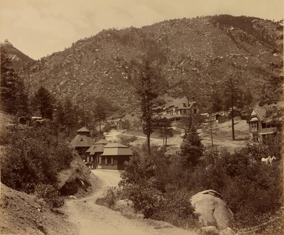  द्वारा विलियम हेनरी जैक्सन