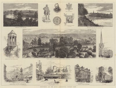 Shrewsbury और रॉयल कृषि सोसायटी का शो द्वारा William Henry James Boot