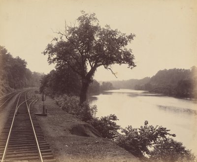  द्वारा विलियम हरमन राउ