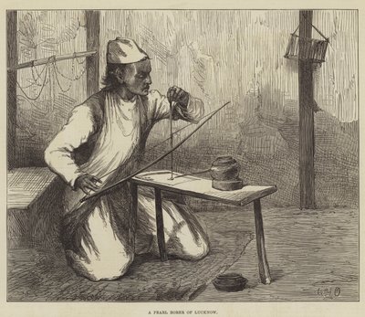 लखनऊ का एक पर्ल बोरर द्वारा William Heysham Overend