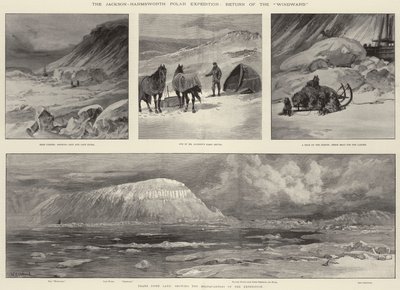 जैक्सन-हार्म्सवर्थ पोलर अभियान, विंडवर्ड की वापसी द्वारा विलियम हेशम ओवरेंड