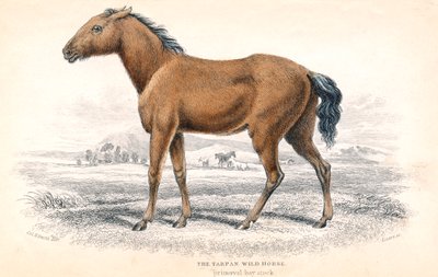 तर्पण, 1830 द्वारा विलियम होम लिज़र