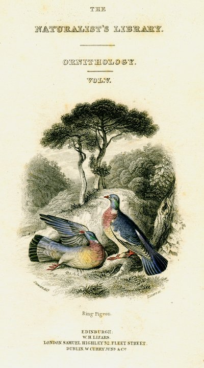द नैचुरिस्ट्स लाइब्रेरी, ऑर्निथोलॉजी वॉल्यूम V, रिंग पिजन, c1833-1865। द्वारा विलियम होम लिज़र